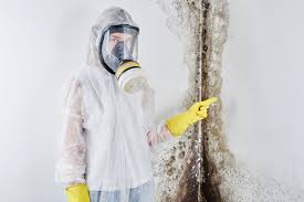 Asbestos and Lead Testing During Mold Inspection in Westfield, WI